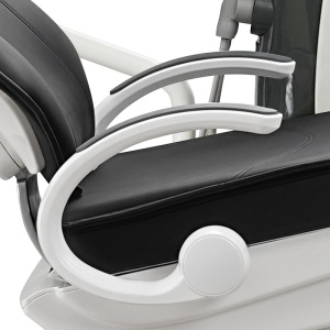 Unit dentar Wozo A1 Woson Luxury furtune sus - Img 4