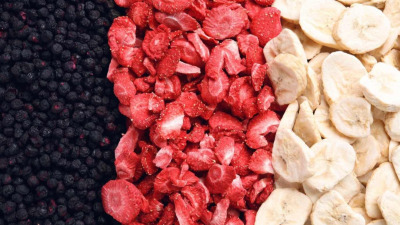 Liofilizarea (freeze drying) - tehnologia modernă de conservare a fructelor și diverselor alimentele