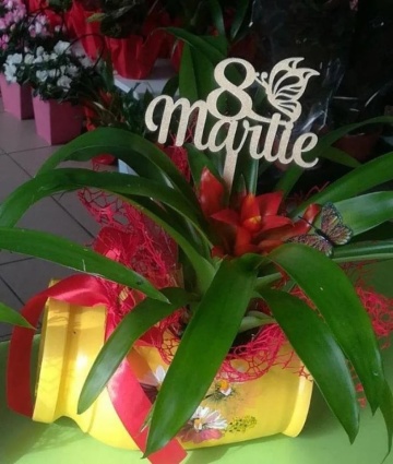 Topper tort "8 Martie" 