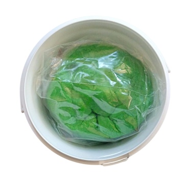Pasta de zahar – VERDE – 1 kg – Dobryk