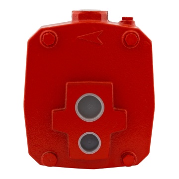 DP505 pompa cu ejector pentru hidrofor, Produsul contine taxa timbru verde 2,5 Ron, - Img 6