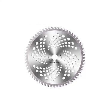 Disc vidia 60T 255X25.4 Calitatea C, Elefant - Img 2