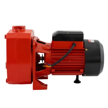 DP505 pompa cu ejector pentru hidrofor, Produsul contine taxa timbru verde 2,5 Ron, - Img 2