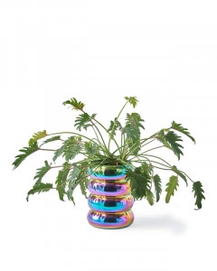 Ghiveci pentru plante multicolor din ceramică, 34x34x44 cm, CHUBBY