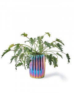 Ghiveci pentru plante multicolor din ceramică, 32,5x32,5x45 cm, CURVY