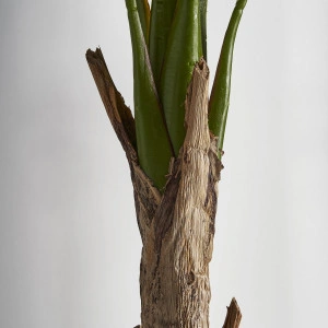 Plantă artificială bananier, cu ghiveci, din poliester, 60x60x165 cm, BANANERA - Img 2