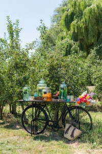 Consolă Bicicletă Metal/Lemn de Mango Negru/Natural (1501) - Img 6