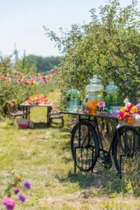Consolă Bicicletă Metal/Lemn de Mango Negru/Natural (1501) - Img 7