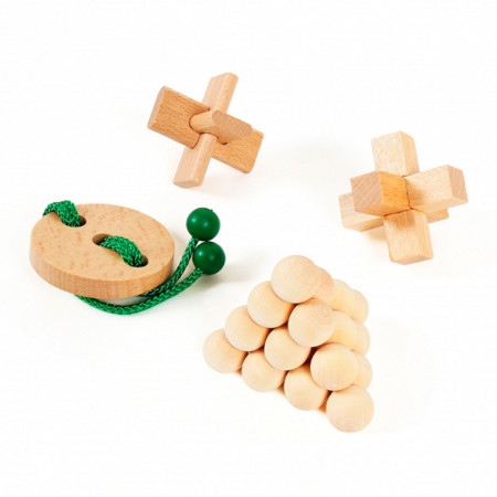 Set 4 piese Wooden Brain Puzzles Junior