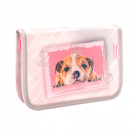 Ghiozdan scoala echipat Belmil Classy - Catelus