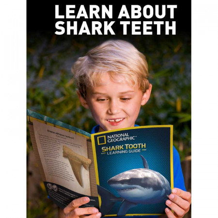 National Geographic STEM Kit Paleontologie - In cautarea dintilor de rechin