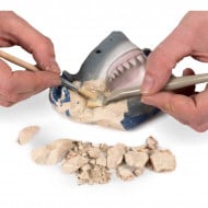 National Geographic STEM Kit Paleontologie - In cautarea dintilor de rechin