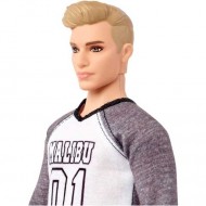 Papusa Ken Barbie Fashionistas