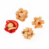 Set 4 piese Wooden Brain Puzzles Extreme