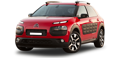 C4 Cactus