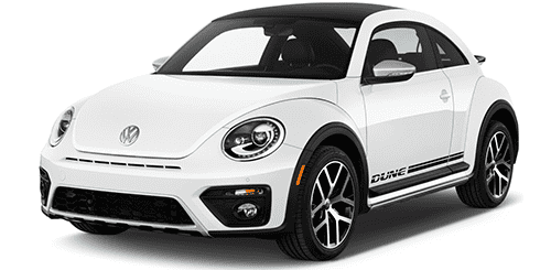 Beetle