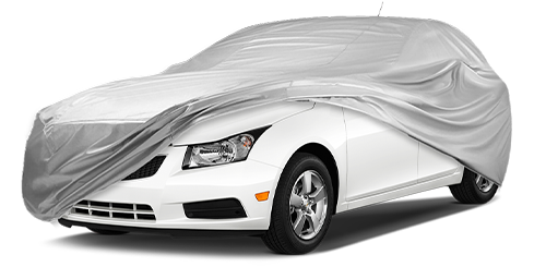 Cruze