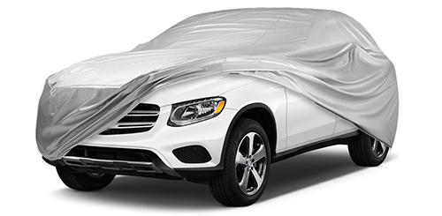 CLS