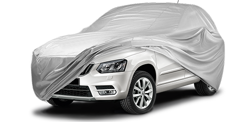 Citigo