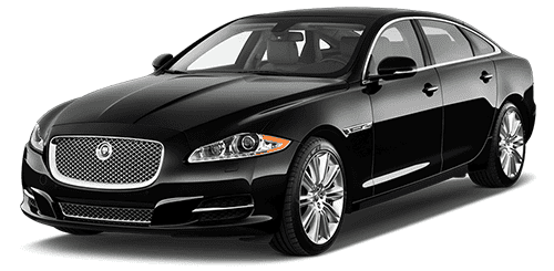 XF