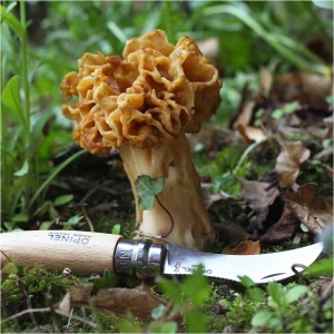 Opinel 8 mushroom knife [blister] - Img 6