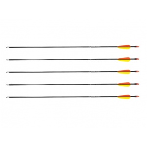 Sageata Fibra de sticla 30in smooth - Poe Lang (Set de 5)