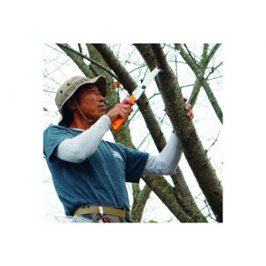 Silky Gomboy Curve 300-8 Folding Hand Saw - Img 4
