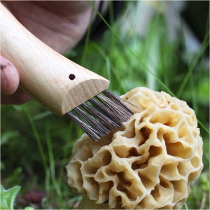 Opinel 8 mushroom knife [blister] - Img 5