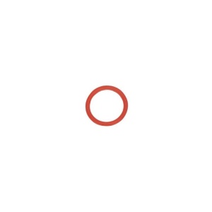 R011 Striker O-ring Red (ORG001 (19A))