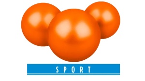 Umarex T4E Sport PAB43 paintballs .43 cal. 500 orange [0.82g] - Img 4