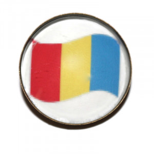 Brosa cu tricolor T1