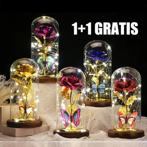 1+1 GRATIS TRANDAFIR IN CUPOLA