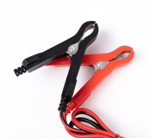 REDRESOR BATERIE AUTO 12V 10A - 24V 5A, 180W - Img 2