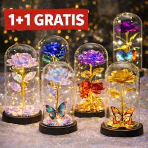1+1 GRATIS TRANDAFIR IN CUPOLA 22 CM