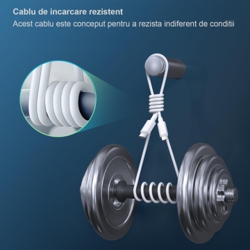 Set Incarcator WowStep® Cablu Type-C Lightning, 100 cm, Adaptor Retea Incarcare Rapida 20W, Gri - Img 4