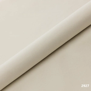 Plus tapiterie,gama Lux,Venus Velvet - 2927