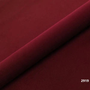 Plus tapiterie,gama Lux,Venus Velvet - 2919