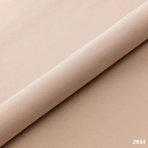 Plus tapiterie,gama Lux,Venus Velvet - 2934