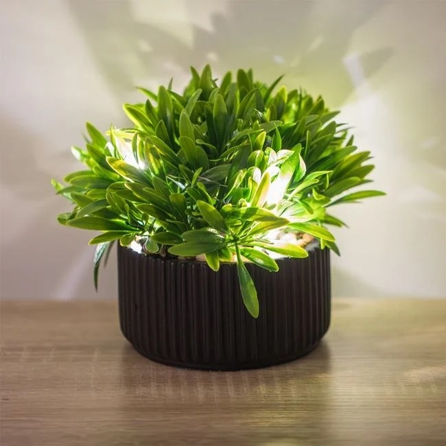 Ghiveci decorativ cu planta suculenta verde artificiala, cu lumini LED, Ø16x15 cm, verde/negru - 1 | YEO