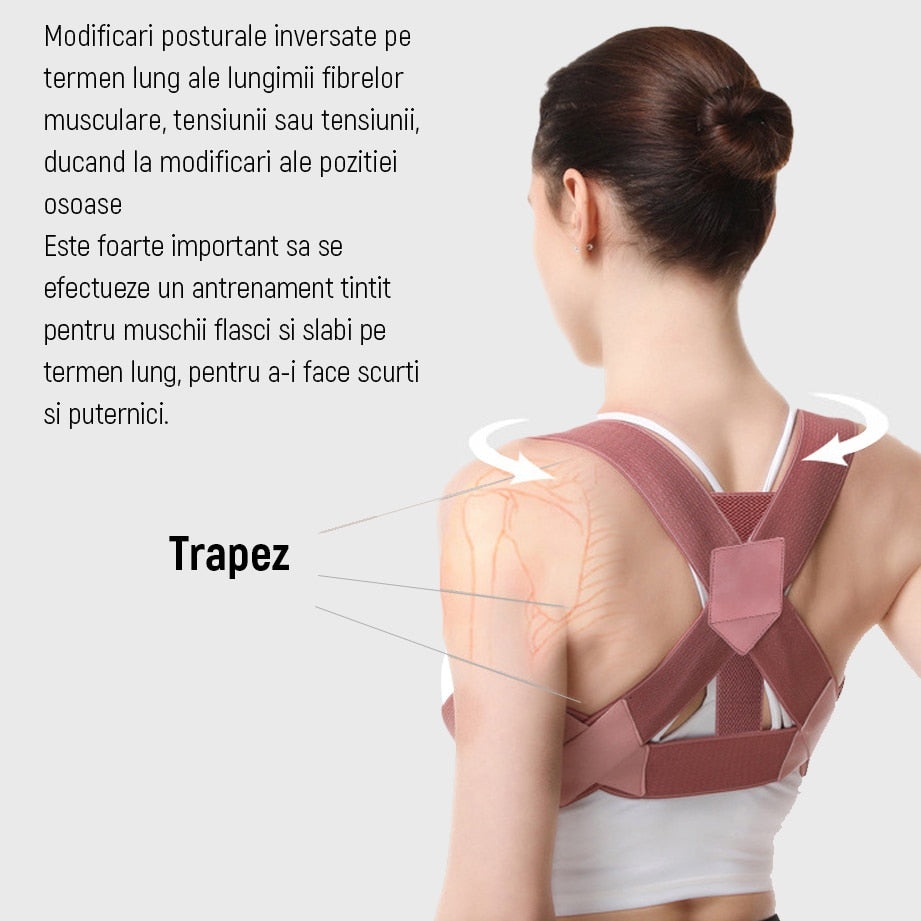 Centura corectoare de pozitie pentru spate, suport corector de pozitie pentru zona cervicala, umeri si spate - 2 | YEO