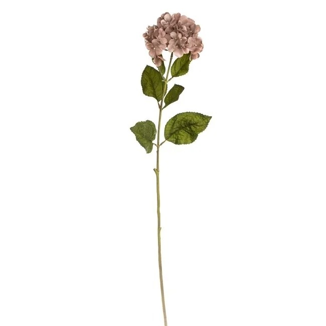 Hortensie artificiala cu tulpina lunga, in nuante calde, 70 cm, mocca/verde - 1 | YEO