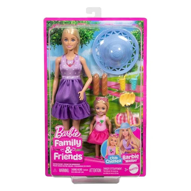 Papusa Barbie si Chelsea la picnic, cu accesorii incluse, varsta 3+ ani, 20x6x33cm, multicolor