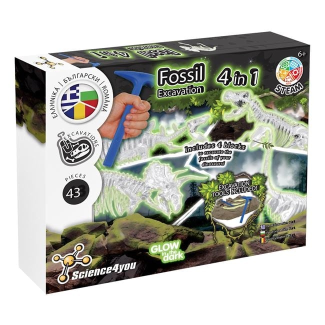 Set Excavare Fosile de Dinozauri 4in1 - 1 | YEO