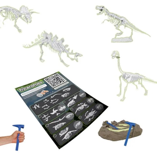 Set Excavare Fosile de Dinozauri 4in1