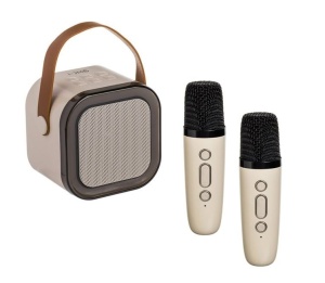 Set boxa Karaoke cu 2 microfoane wireless - Bluetooth - Putere 5W