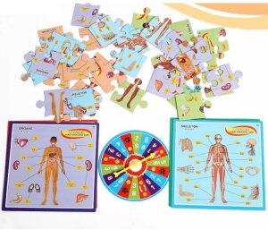 Puzzle Corpul uman cu ruleta, pentru maxim 4 peroane de 6 ani+, cu 4 categorii si 4 foi