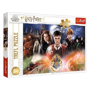 Puzzle Harry Potter, Toate Personajele, 300 Piese, 60x40cm - Img 1