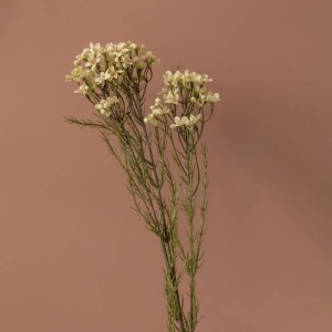 Flori artificiale cu tulpina lunga, in nuante calde, 79 cm, alb - Img 3
