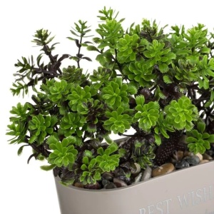 Ghiveci decorativ cu bonsai artificial, cu mesaj inscriptionat pe ghiveci, 15x7x17cm, bej/verde - Img 3