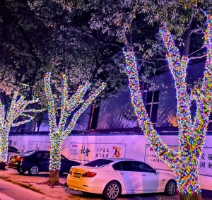 Instalatie Luminoasa Solara, 33m, 300 LED-uri, cu Telecomanda, Alb Cald/Rece, Albastru sau RGB - Img 19